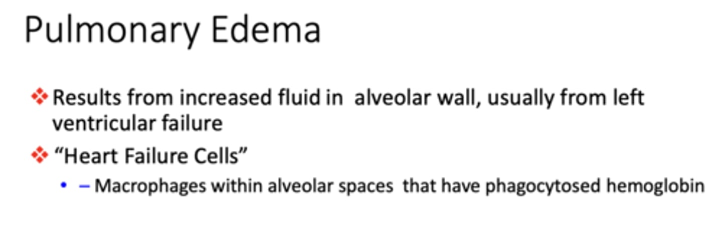 <p>“Heart Failure Cells”</p>