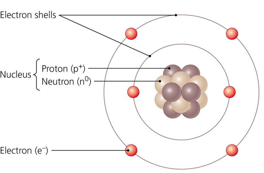 <p>Electron shells on outside with electrons on them, nucleus contains protons &amp; neutrons</p>