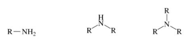<p>Ammonia NH3, but one of the hydrogen atoms is replaced by an alkyl group</p>
