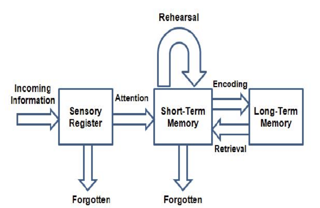 <ul><li><p>sensory memory</p></li><li><p>short-term memory </p></li><li><p>long-term memory </p></li></ul>