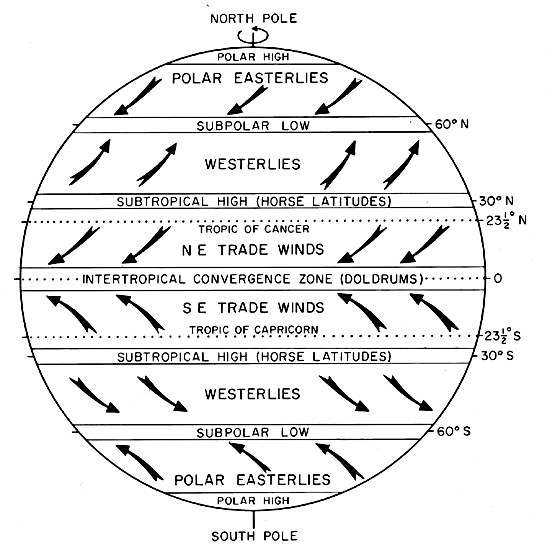 <p>The global wind patterns that distribute heat and moisture around the Earth and are most predominant in a specific area</p><p>Winds move warm air towards higher latitudes and cooler air towards lower latitudes. The movement of warm air rising and cool air sinking creates circular air patterns. Winds from colder regions contribute to cooler climates, while winds from warmer regions bring higher temperatures. Winds passing over oceans can carry moisture, leading to increased rainfall in coastal areas.</p>