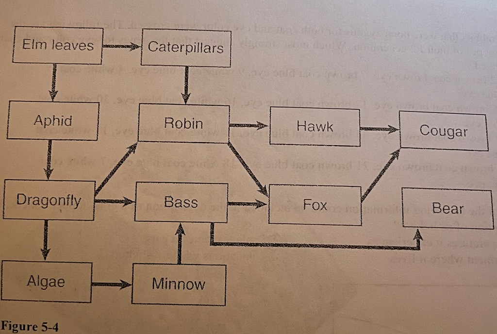 Examine the food web shown in Figure 5-4. What would most likely happen to the organisms in this ecosystem if the algae began to disappear?