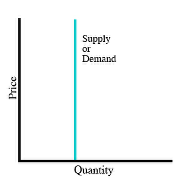 <p>Graph B shows a demand or supply curve that is:</p><p>(A) unit elastic</p><p>(B) elastic</p><p>(C) inelastic</p><p>(D) perfectly inelastic</p><p>(E) perfectly elastic</p>