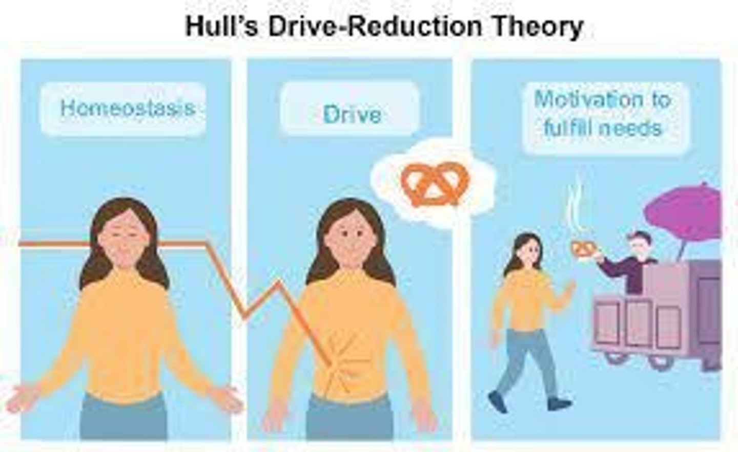 <p>Physiological needs create aroused states of tension (drives) that direct us to satisfy these needs.</p>