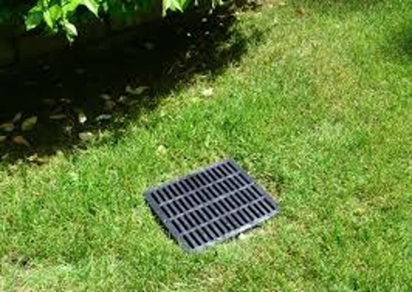 <p>the box below an outdoor drain</p>