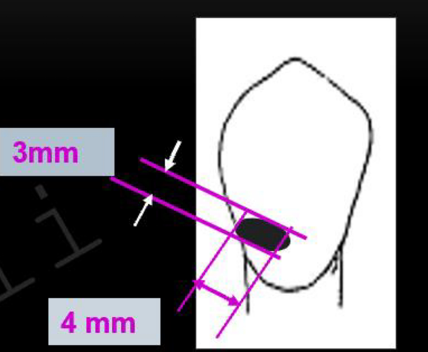 knowt flashcard image