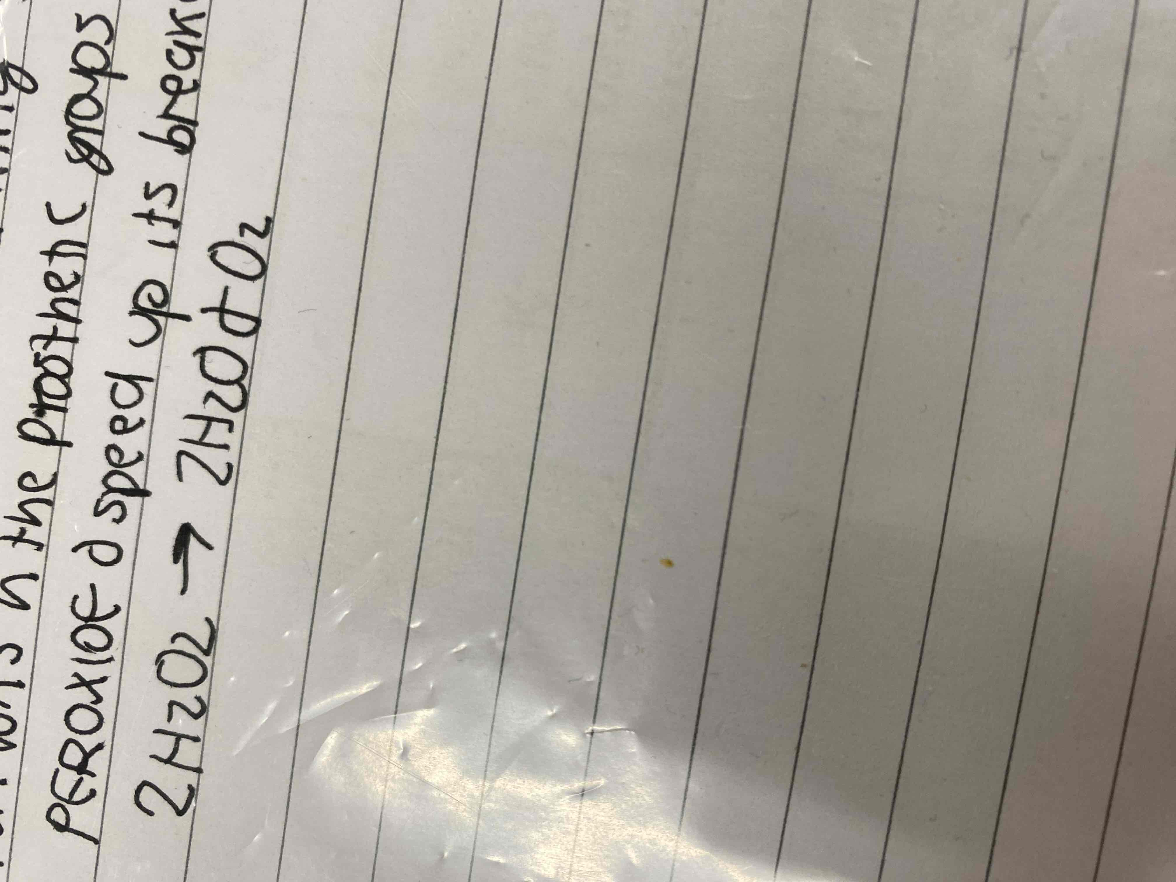 <p>Allow catalase to interact with hydrogen peroxide and speed up its breakdown</p>