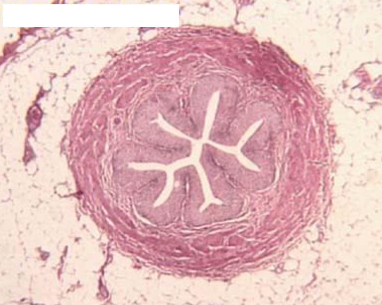 <p>ID the image</p>