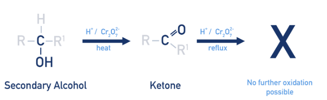 <p>ketones</p>