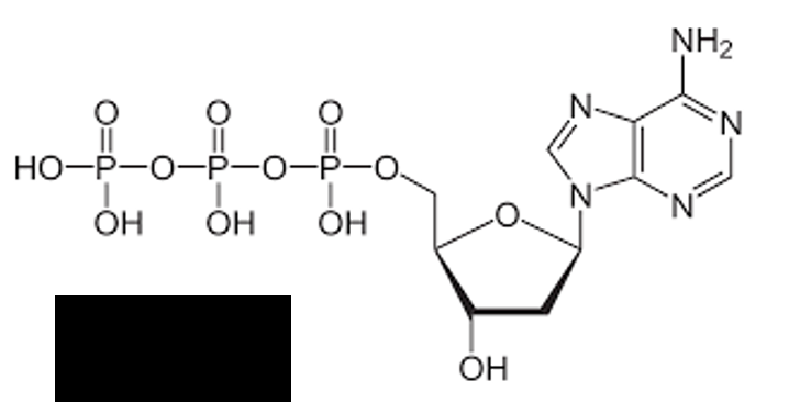 <p>identify the image </p>