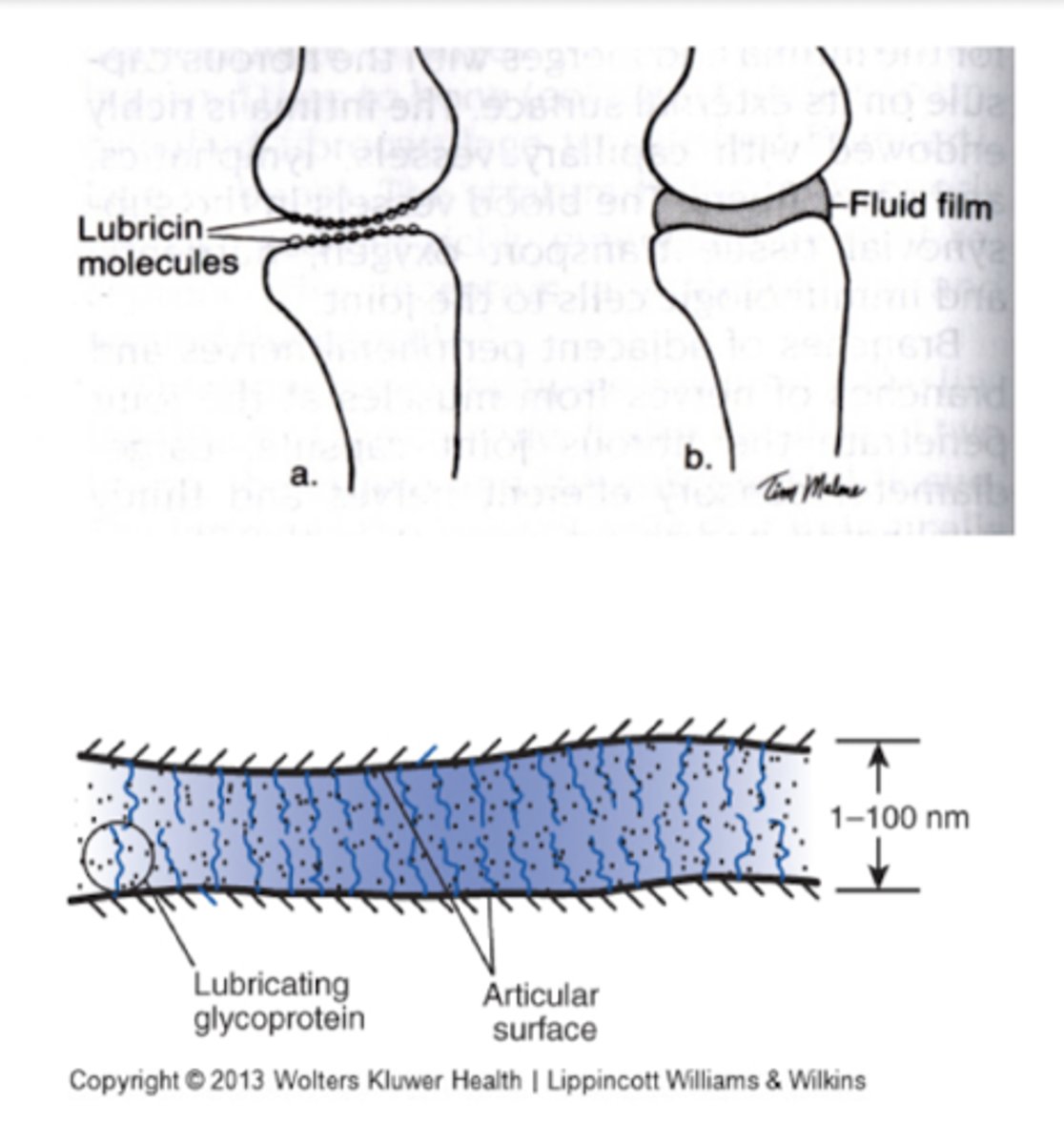 <p>During loading at low speeds (upper extremity, walking)</p>