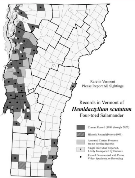 <p>Moist and dry woodlands, forests adjacent to swamps (S2)</p>