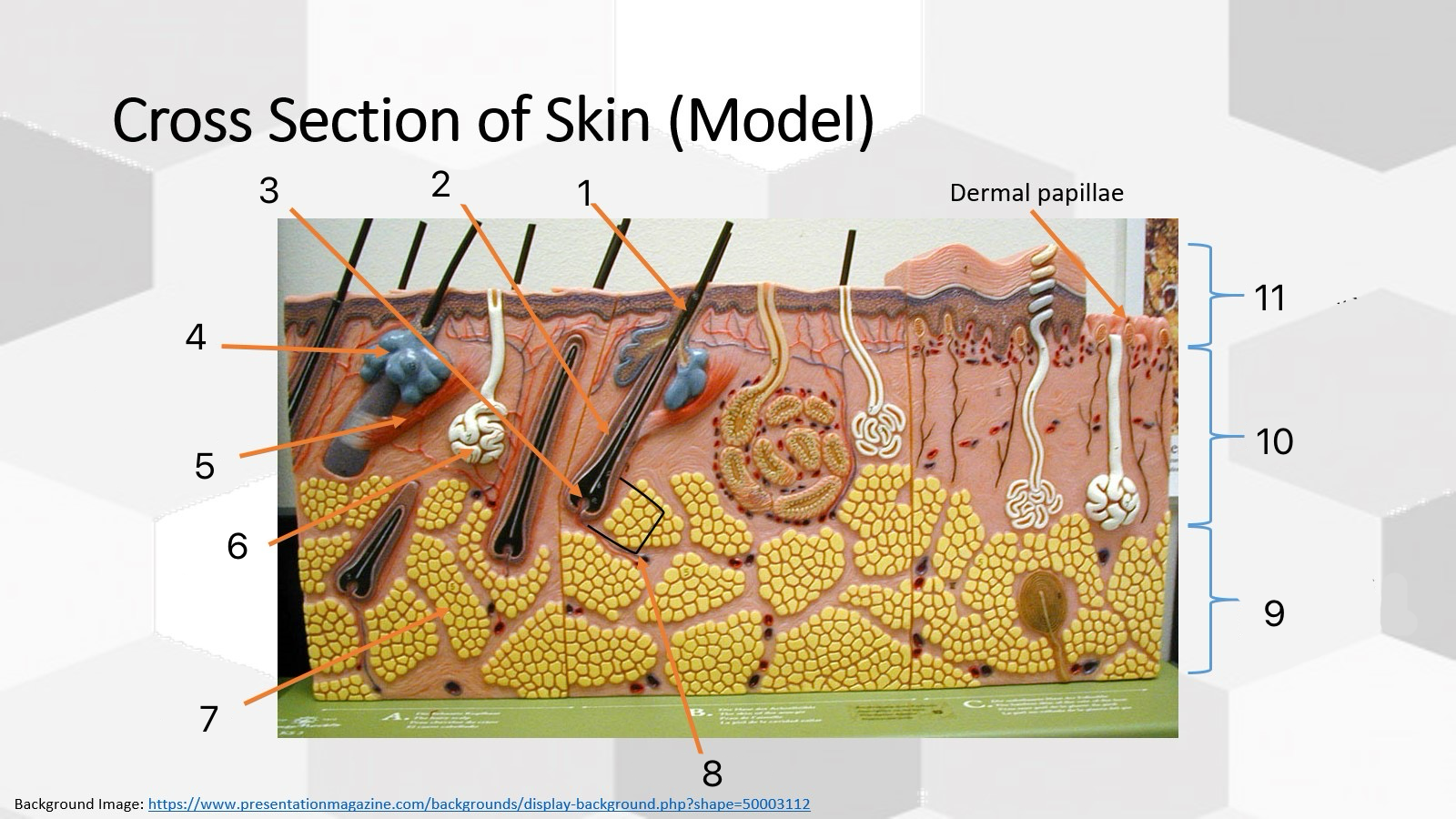 <p>Label all parts</p>