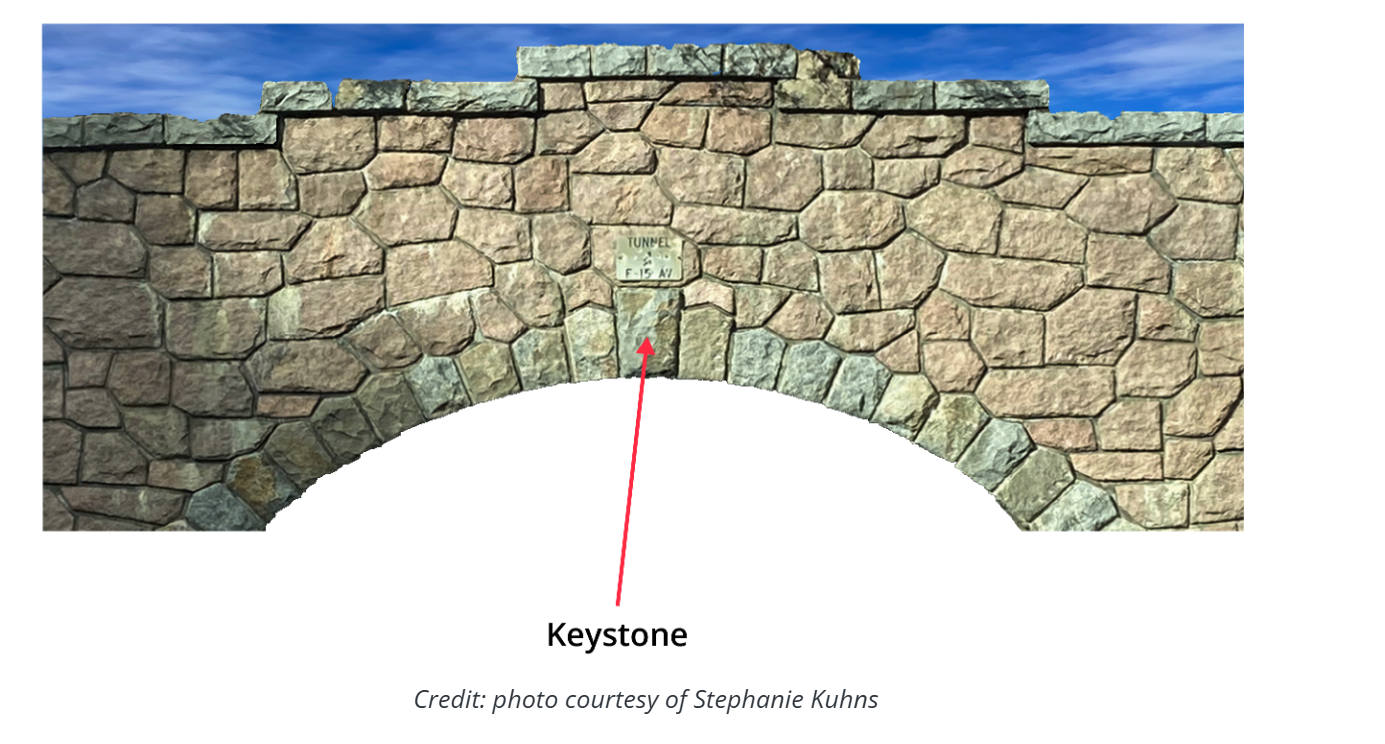 <ul><li><p><span><span>A disproportionately large impact on its environment relative to its abundance or biomass</span></span></p></li><li><p><span><span>Can be species in many types of ecological roles (Predators, Mutualists)</span></span></p></li><li><p><span><span>Examples: (Wolves, Otters, Starfish)</span></span></p></li></ul><p></p>