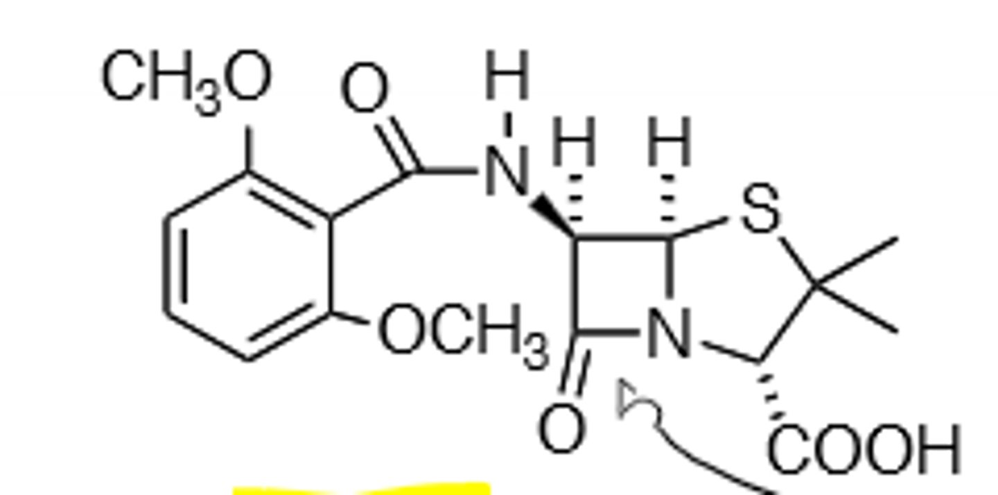 <p>B-Lactamase Resistant, Injected</p>