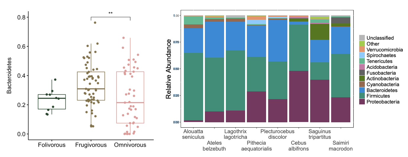 <p>what proportion of our sequences are assigned to a taxa </p>