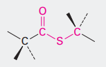 <p>What is the name of this functional group?</p>