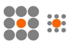 <p>two circles that appear different sizes due to the size of the dots around them, even though they are the same size</p>