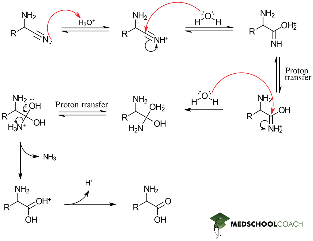 <p>Hydrolysis</p>