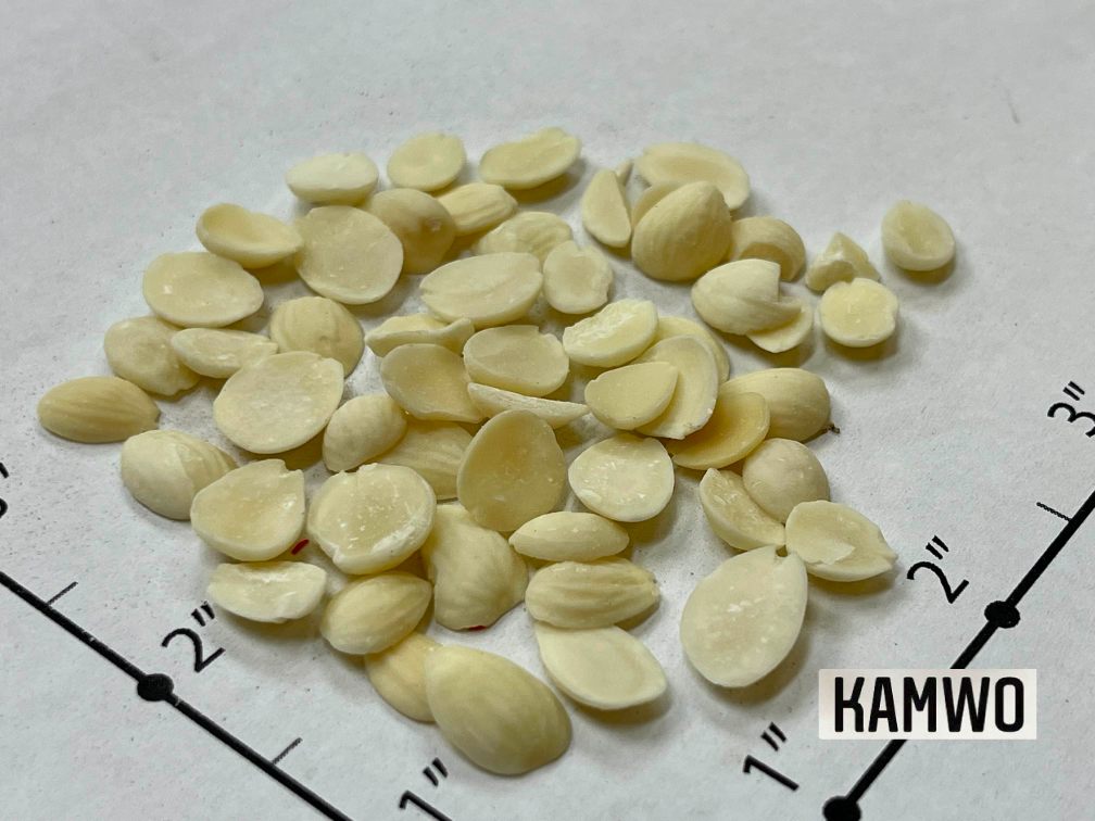 <p>pinyin</p><p>latin</p><p><u>category</u></p><p><u>formulas </u></p><p>key char (2 - 6 words)</p>
