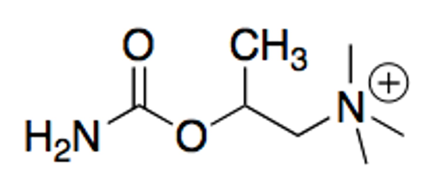 <p>modified carbachol</p><p>methyl group on beta carbon to the quaternary nitrogen</p><p>has better stability and oral bioavailability due to nitrogen in place of carbon 5. AND the methyl group on the beta carbon provides muscarinic selectivity and provides steric hinderance to make molecule more resistant to hydrolysis</p>