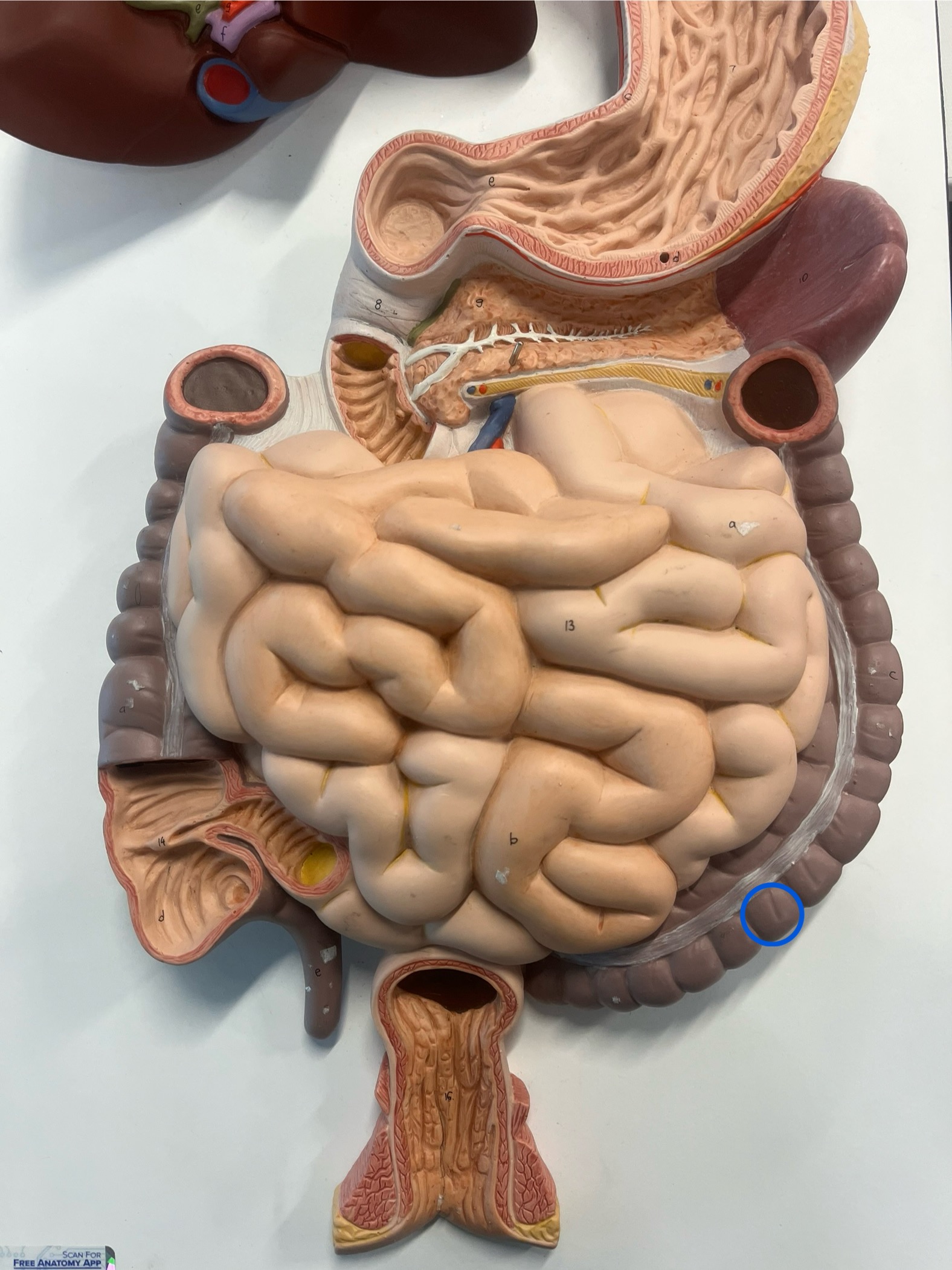 <p>what is this?</p>