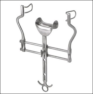 <p>name of instrument</p>