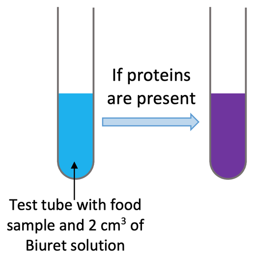 <p>Biuret test - add sodium hydroxide solution to the sample. Add copper sulphate solution. If proteins are present the solution will turn purple, if not it will stay blue.</p>