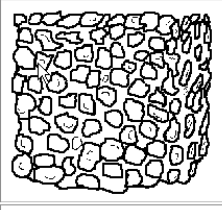 <p>This term describes the shape of soil as spherical grains. They have high permeability, and are found in the A horizon.</p>