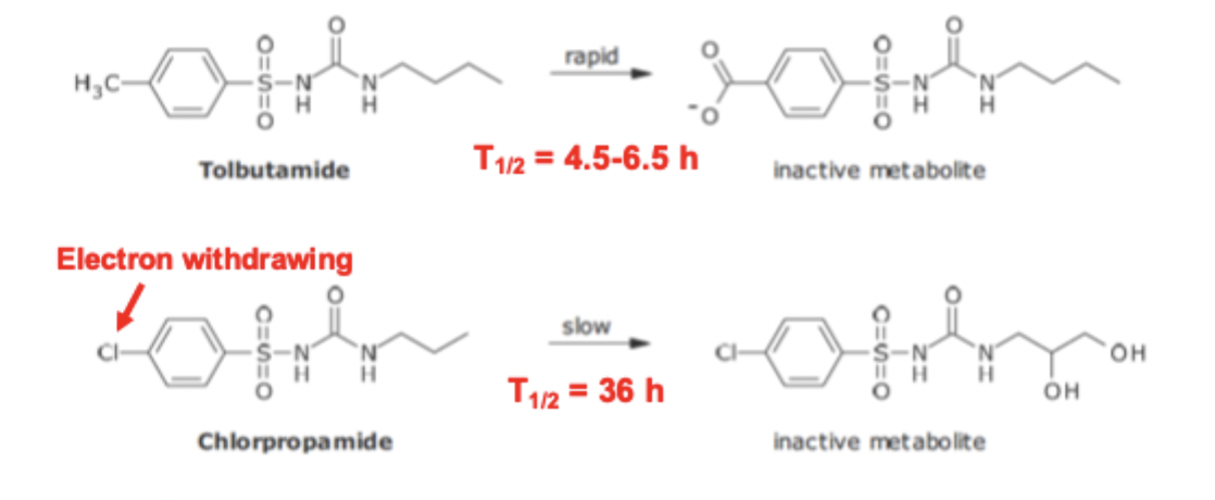 <ul><li><p>para methyl is rapidly metabolized</p></li><li><p>changing the group to a chloro FG prolongs half life</p></li></ul><p></p>