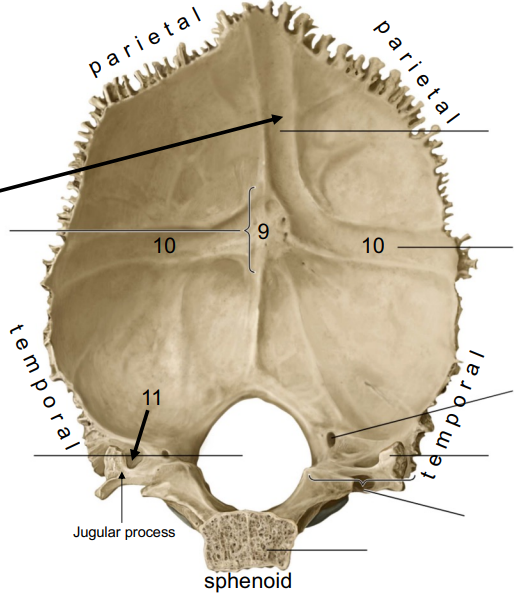 <p>What is 8</p>