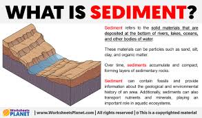 <p>a. sand, stones, etc. that slowly form a layer of rock</p>