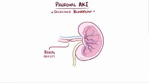 <p><strong>Which of the following clients would be considered to have a significant risk of developing the prerenal form of acute renal failure? Select all that apply.</strong></p><p>A) A 22-year-old male who has lost large amounts of blood following a workplace injury</p><p>B) A 41-year-old female who is admitted for intravenous antibiotic treatment of pyelonephritis</p><p>C) A 79-year-old male with diagnoses of poorly controlled diabetes mellitus and heart failure</p><p>D) A 20-year-old male who is admitted for treatment of an overdose of a nephrotoxic drug</p><p>E) A 68-year-old male with a diagnosis of benign prostatic hyperplasia (BPH)</p><p>F) An 80-year-old female who has been admitted for the treatment of dehydration and malnutrition</p>