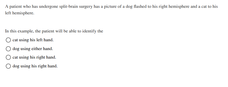 <p>In this example, the patient will be able to identify the</p>