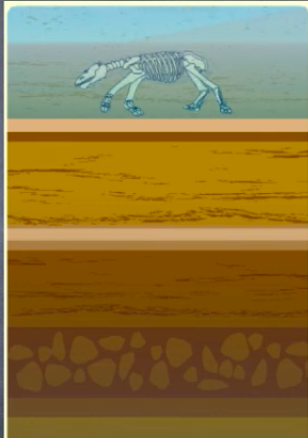 <p>Organism Dies and Its Body Tissue Decomposes</p>