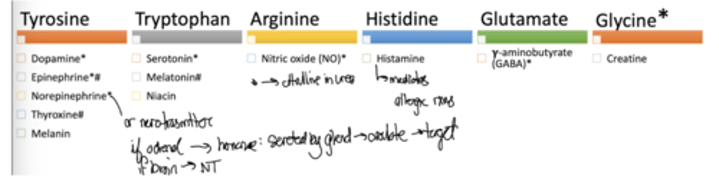 knowt flashcard image