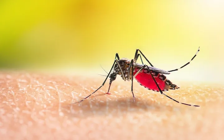 <p>cannot move, they are carried from host to host</p><p>ex: Plasmodium, which causes malaria</p>