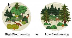 <p>Biodiversity</p>