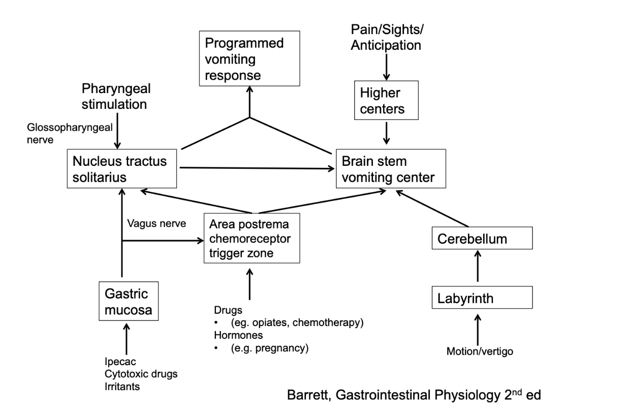 <ul><li><p>Pharyngeal stimulation</p></li><li><p>Gastric irritation (ipecac, cytotoxins, etc.)</p></li><li><p>Chemoreceptor (hormones, drugs)</p></li><li><p>Motion sickness</p></li><li><p>Pain/sights/anticipation</p></li></ul><p></p>