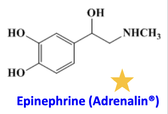 <ul><li><p>agoinst: alpha 1 receptor, beta 1 receptor (positive inotropic effect), beta 2 receptor (bronchodilation) </p><ul><li><p>anaphylaxis (epipen and nasal spray), temporary relief in asthma (inhaler), and as adjunct with local anesthetic (injection)—> how vasoconstriction makes it local</p></li></ul></li></ul><p></p>