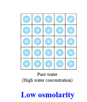 <p>High concentration</p><p></p>