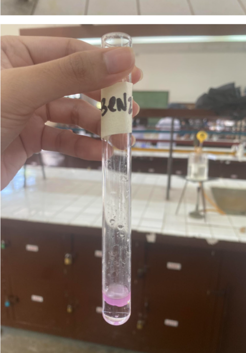 <p><strong>Schiff’s Test</strong></p><p><strong><em>CH3COCH3</em></strong><br><strong>=NEGATIVE (does not contain an aldehyde group)</strong></p><p><br><strong><em>Schiff’s solution (fuchsin decolorized by H2SO4) + CH3COCH3 —→</em></strong></p><p><strong>=COLORLESS SOLUTION</strong></p>