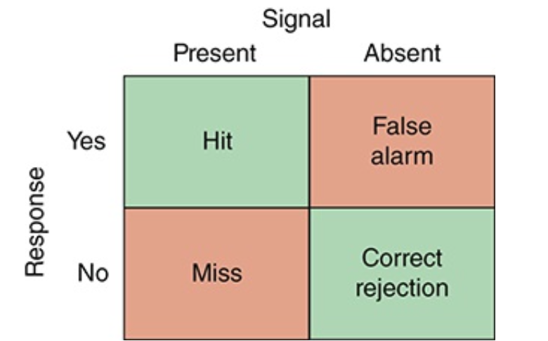 <ul><li><p>Repeated stimulation of a sensory cell leads to a reduced</p><p class="p1">response</p><ul><li><p class="p1">E.g. The tag in your shirt that bothered you in the morning but you don’t feel anymore</p></li><li><p class="p1">E.g. Olfactory adaptation - when you walk into a coffee shop and you slowly stop smelling the coffee</p></li></ul></li></ul><p></p>