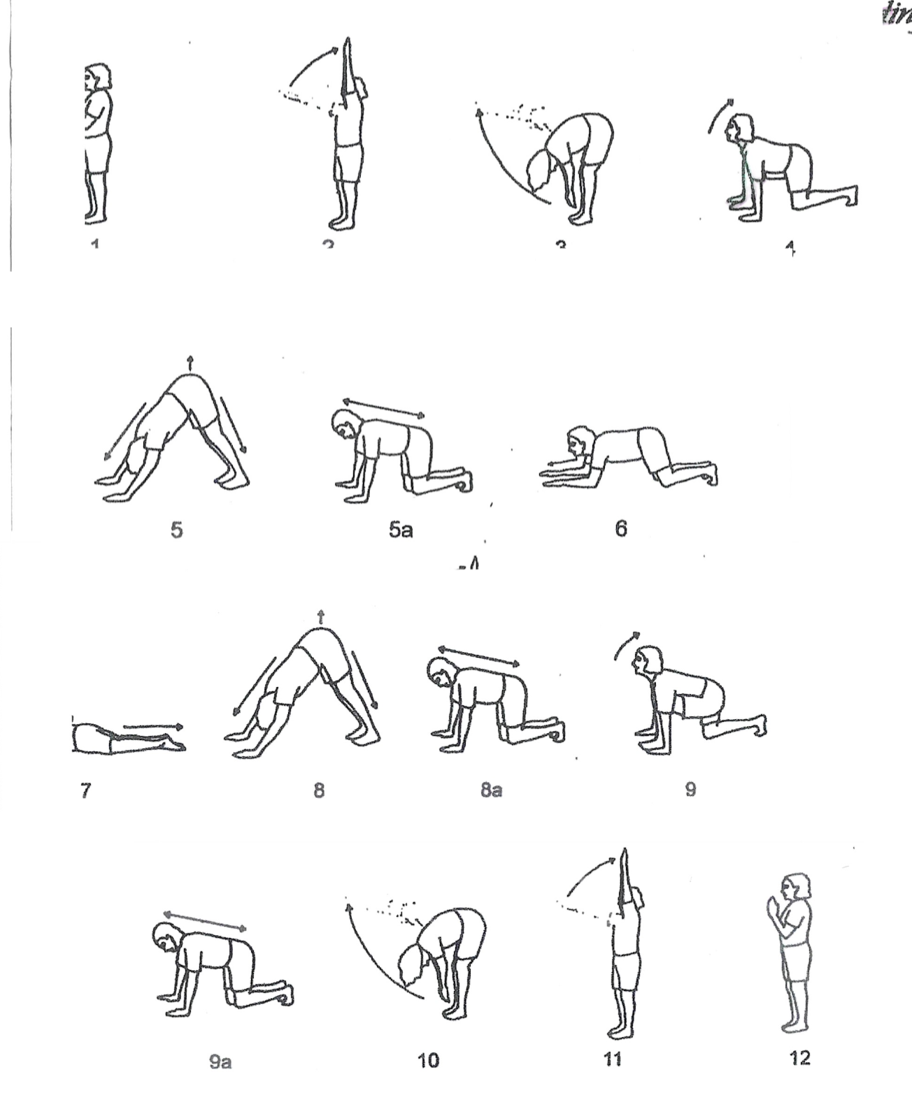 <ul><li><p><span>Start with right foot forward positions on round one</span></p></li><li><p><span>Add any extensions or extra positions on round 3</span></p></li></ul><p></p>