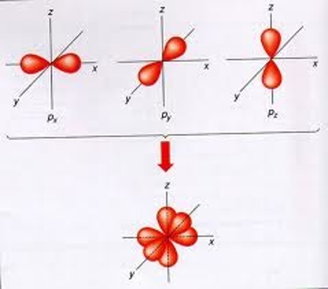 <p>3 orbitals, 6 electrons, dumbbell shape, PX PY PZ</p>