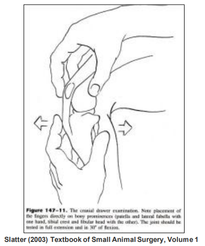 <p>What does this image show?</p>