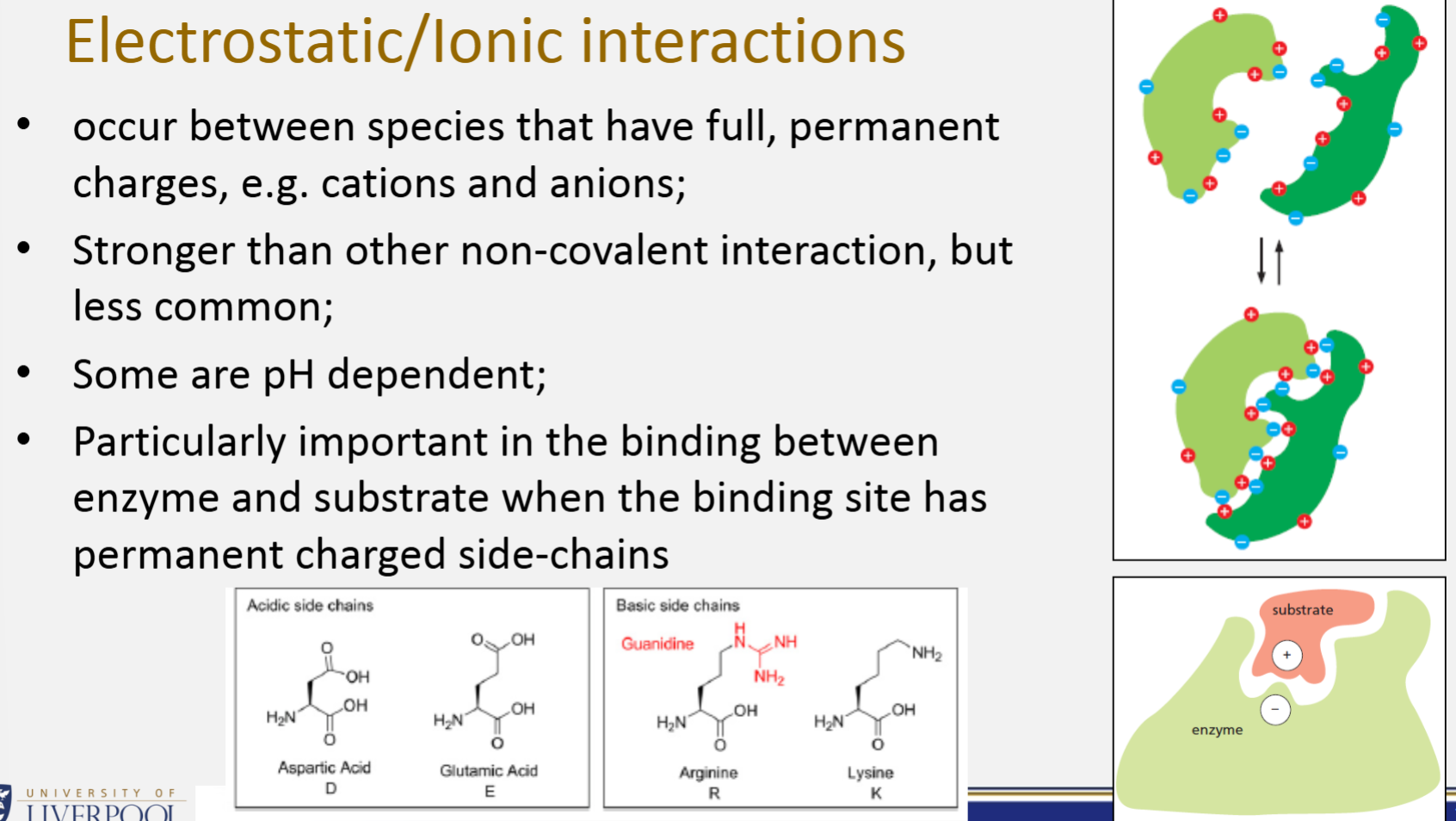 <ul><li><p>Occur between species that have full, permanent charges, e.g. cations and anions</p></li><li><p>Stronger than other non-covalent interaction, but less common</p></li><li><p>Some are pH dependent</p></li><li><p>Particularly important in the binding between enzyme and substrate when the binding site has permanent charged side-chains</p></li></ul><p></p>