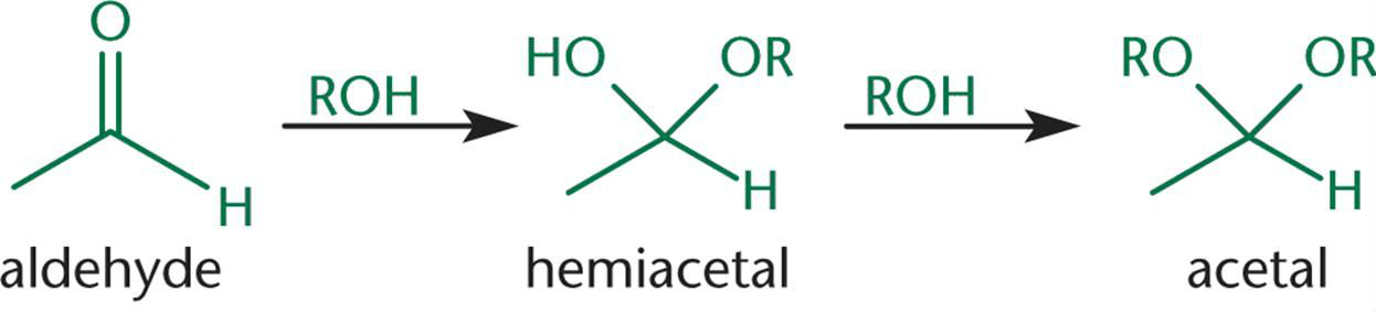 <p>hemiacetal </p>