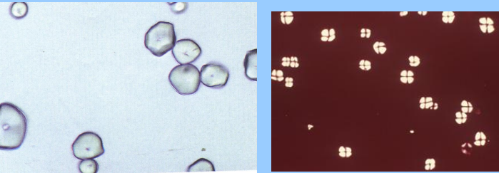 <p>What are these?</p>