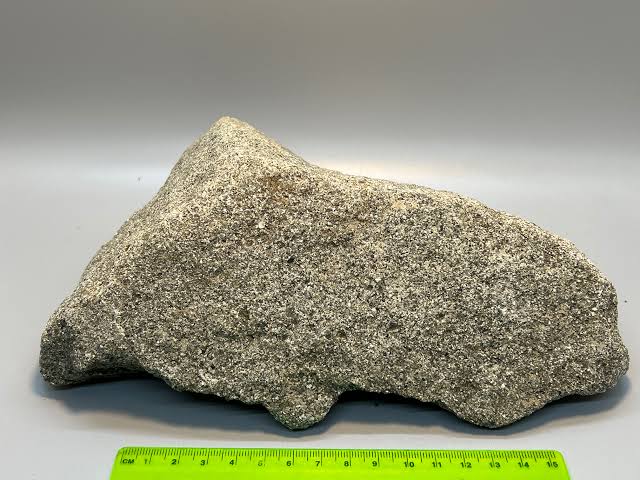 <p>Identify the sedimentary rock</p>